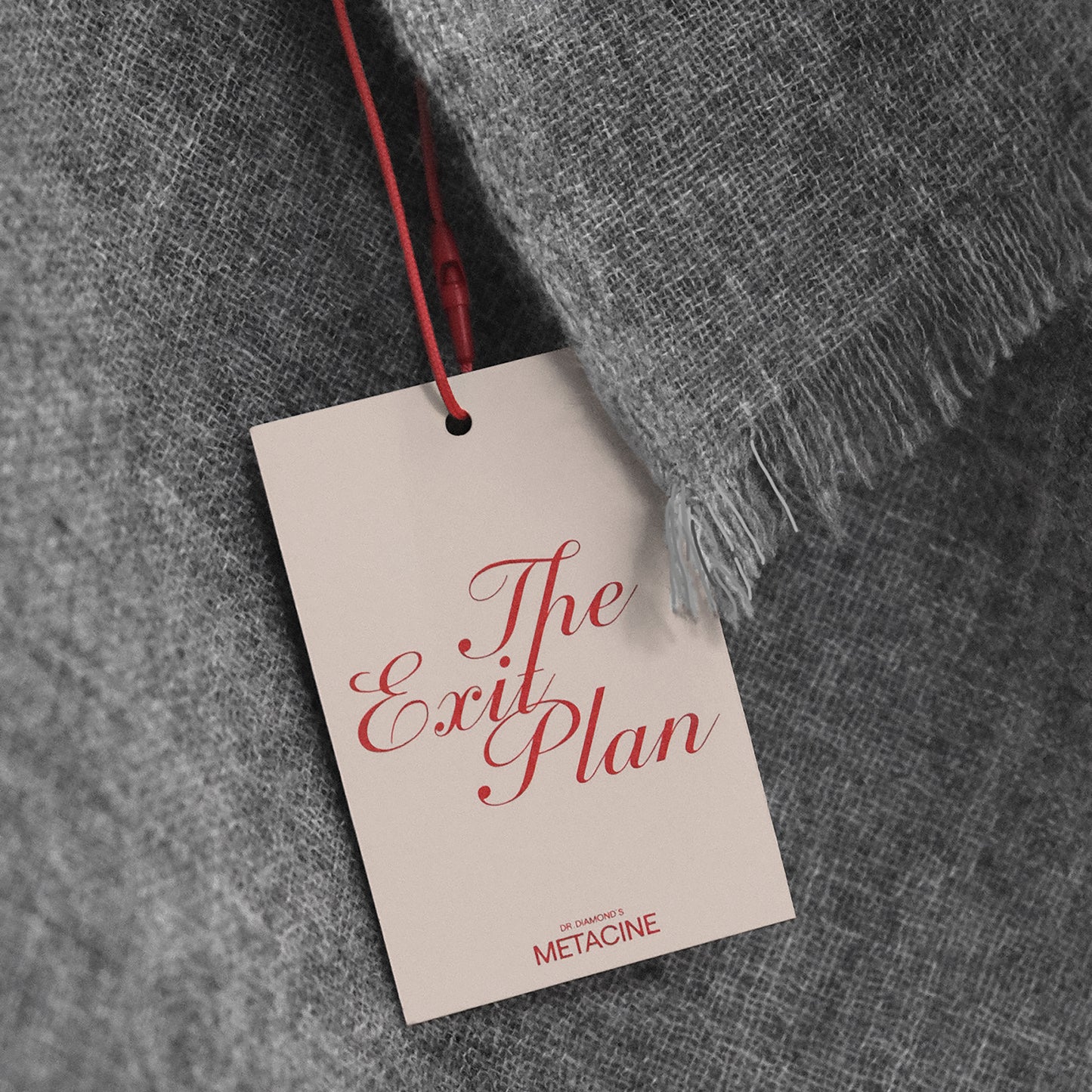 The Exit Plan Cashmere Scarf
